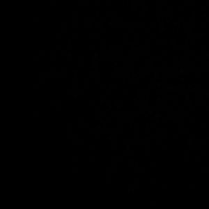 Meet your Posher, Arianna